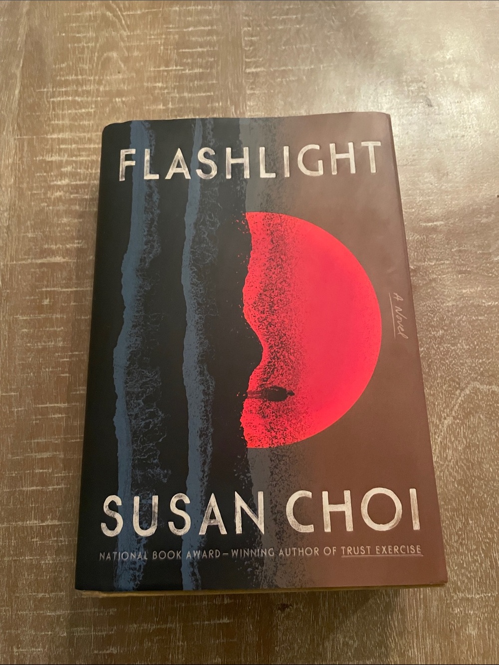 Flashlight, Novel by Susan Choi Hardcover Excellent Condition